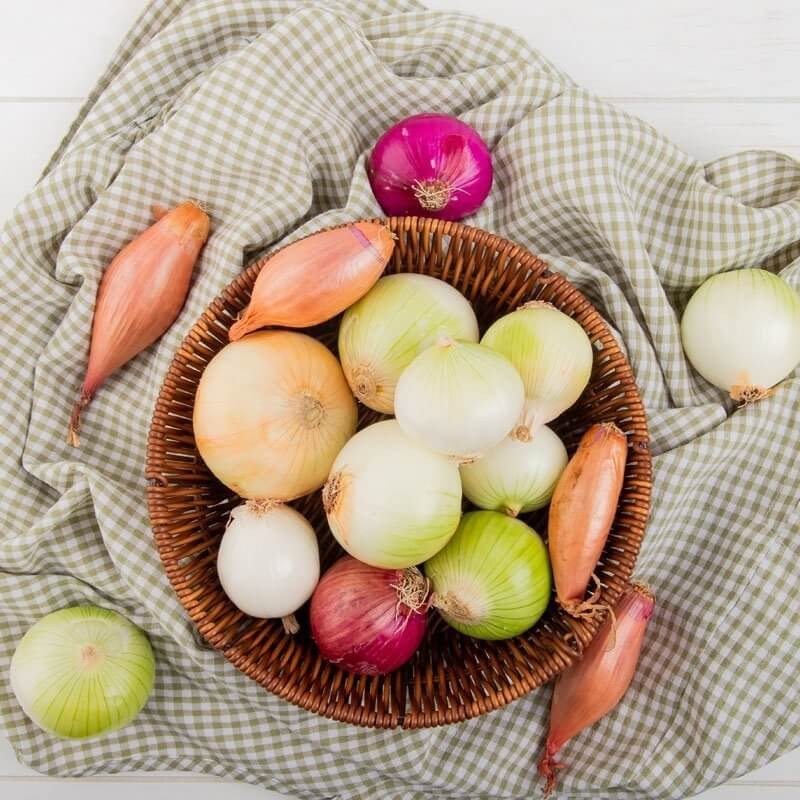 Cebula, mieszanka odmian nasiona (7).jpg