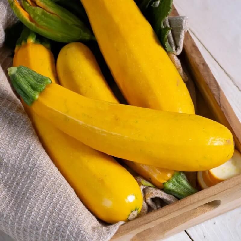 Cukinia ATENA POLKA nasiona 100g  (4).jpg