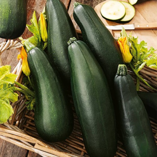 Cukinia SORAYA nasiona XXL 500g