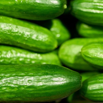 BIO Ogórek Sałatkowy MARKETMORE nasiona ekologiczne 2g