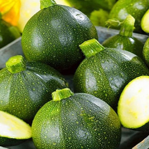 Cukinia Tondo Chiaro Di Nizza 3g nasiona LUX