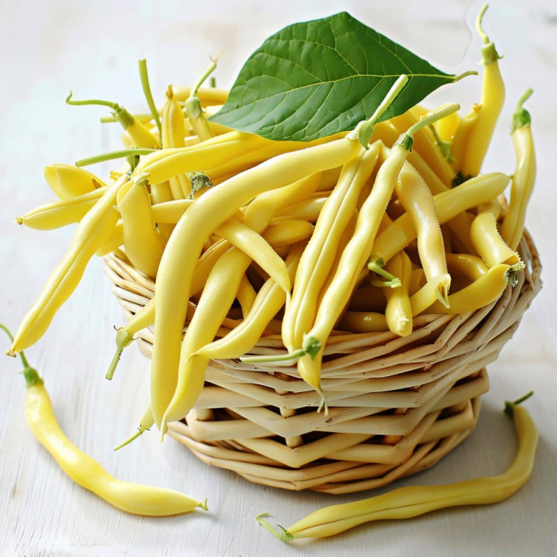 Fasola Królowa pola Wesoły ogródek nasiona (2).jpg