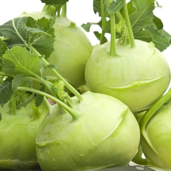 kalarepa wener witte dla dzieci nasiona (1).jpg