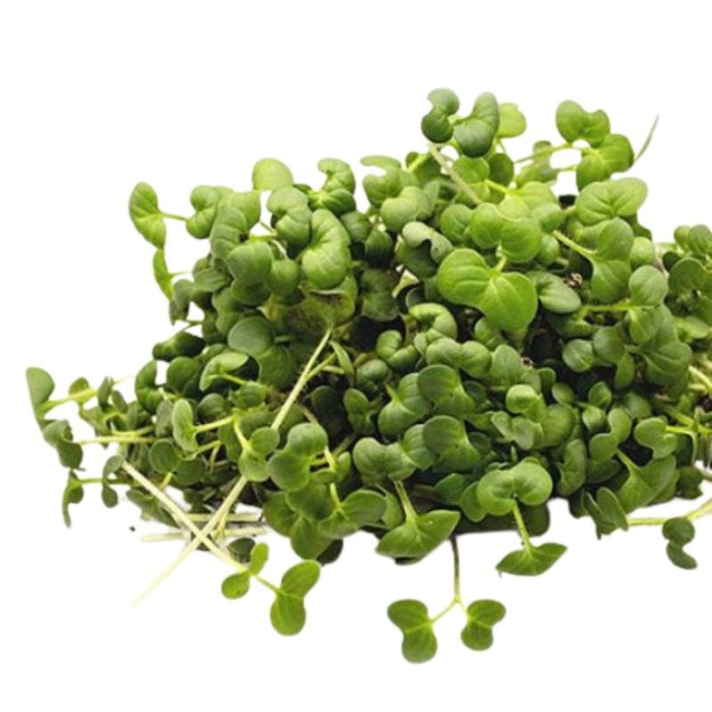 Microgreens gorczyca sarepska 3g nasiona (3).jpg