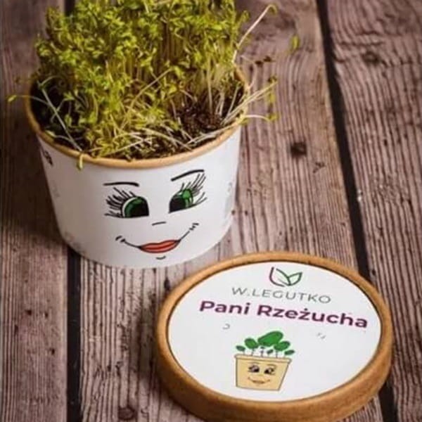 rzeżucha dla dzieci zestaw (1).jpg