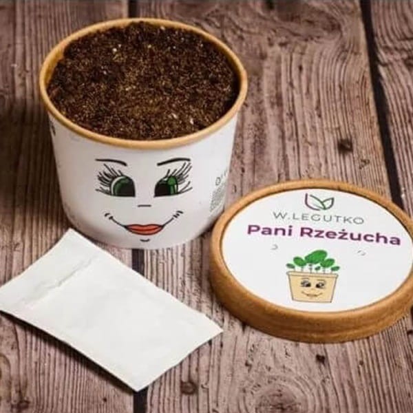 rzeżucha dla dzieci zestaw (2).jpg