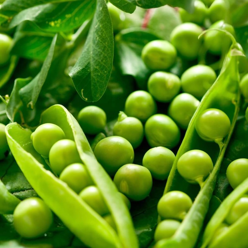 Zestaw dla dzieci - zdroworosna - fasolka, groch, dynia  (2).jpg