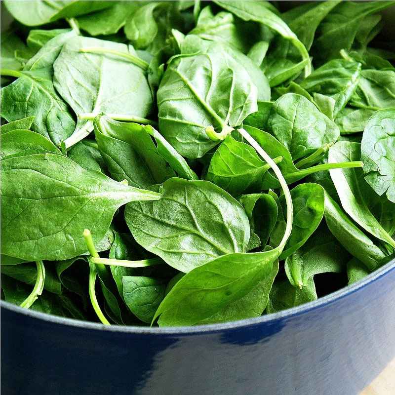 Microgreens szpinak 10g nasiona (3).jpg