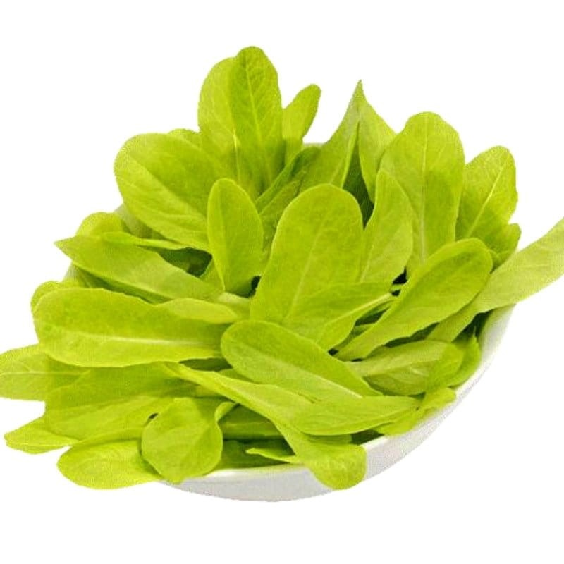 Microgreens sałata zielona 1,5g nasiona (3).jpg