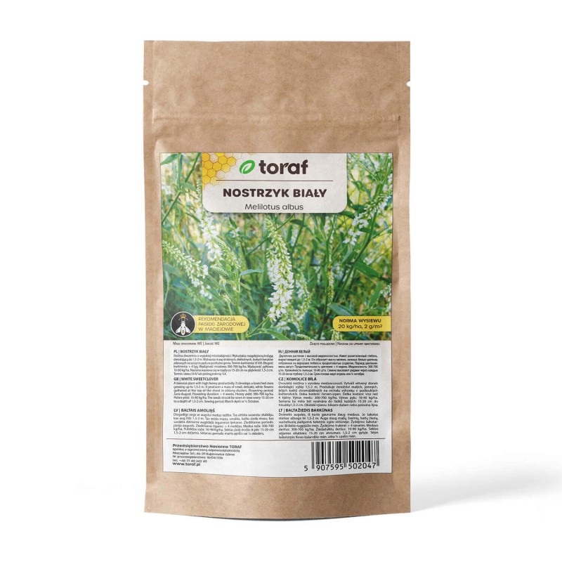Roślina Miododajna NOSTRZYK BIAŁ nasiona 100g (1).jpg