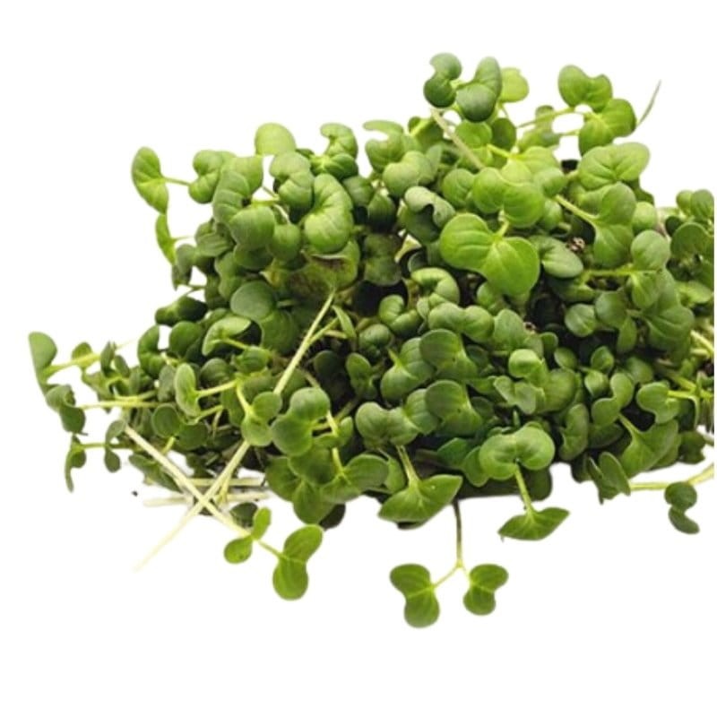 Microgreens rukiew wodna 2g nasiona (3).jpg