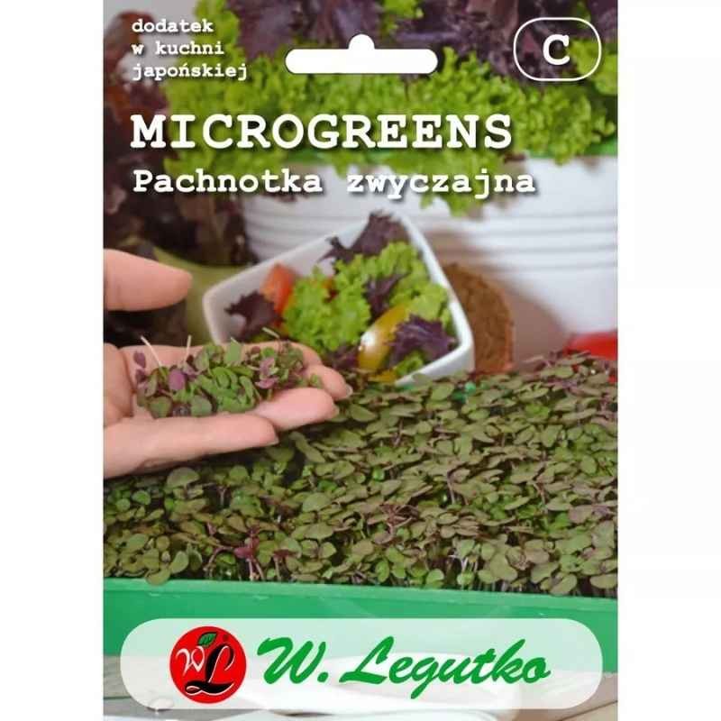 Microgreens pachnotka zwyczajna purpurowa 3g nasiona (2).jpg