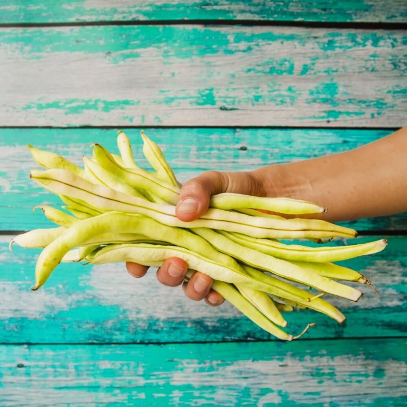 Fasola Królowa pola Wesoły ogródek nasiona (1).jpg