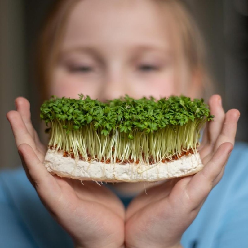 Rzeżuszka dobra dla brzuszka Wesoły Ogródek nasiona (1).jpg