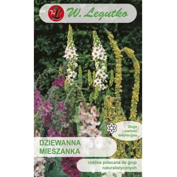 Dziewanna, mieszanka (Verbascum sp.) nasiona 0,1g (1).jpg