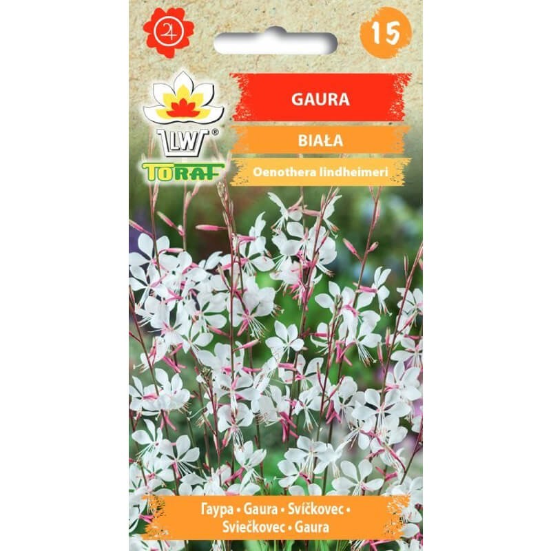Gaura biała nasiona 0,5g (3).jpg