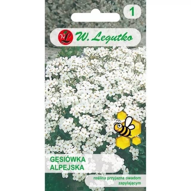 Gęsiówka alpejska biała (Arabis alpina) nasiona 0,3g (3).jpg