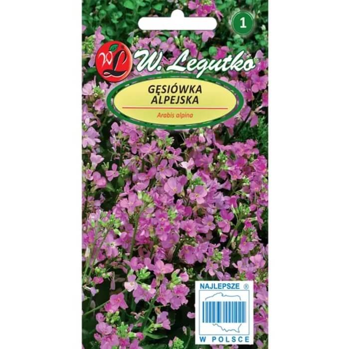 Gęsiówka alpejska różowa nasiona 0,3g (3).jpg