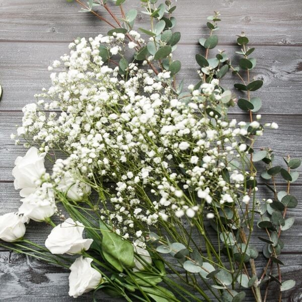 Gipsówka wiechowata, biała nasiona 1g (1).jpg