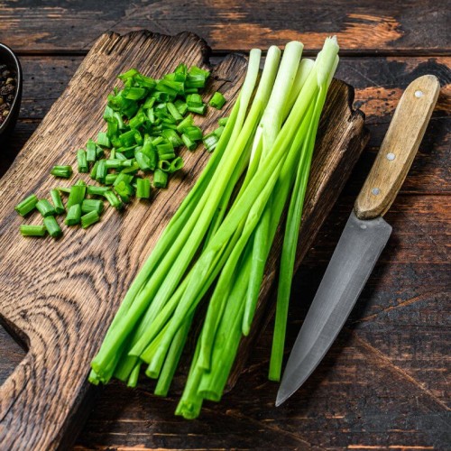 BIO Szczypiorek MEDIUM LEAF nasiona ekologiczne 1g