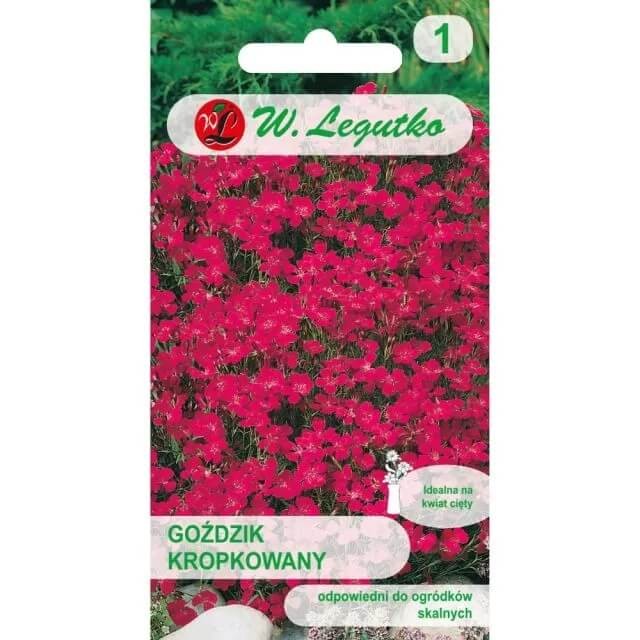 Goździk karminowo-czerwony (Dianthus deltoides) nasiona 0,3g (1).jpg