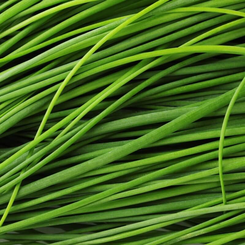 bio-szczypiorek-medium-leaf.jpg