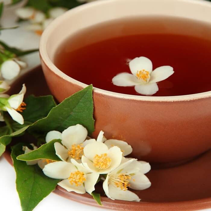 Herbata chińska (Camellia sinesis) nasiona (3).jpg