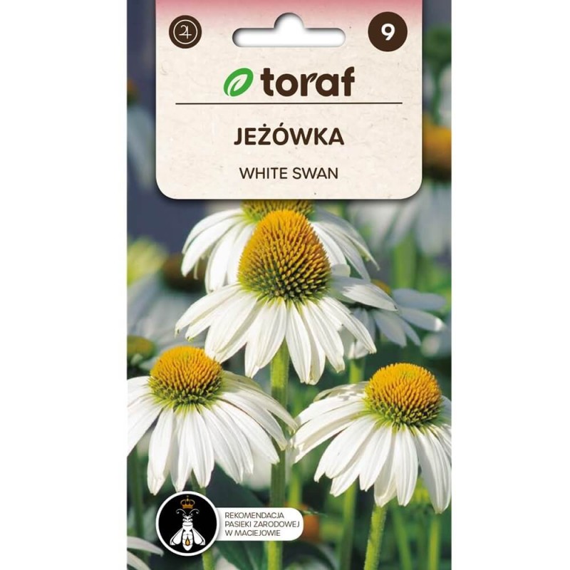 Jeżówka Biała White Swan (1).jpg