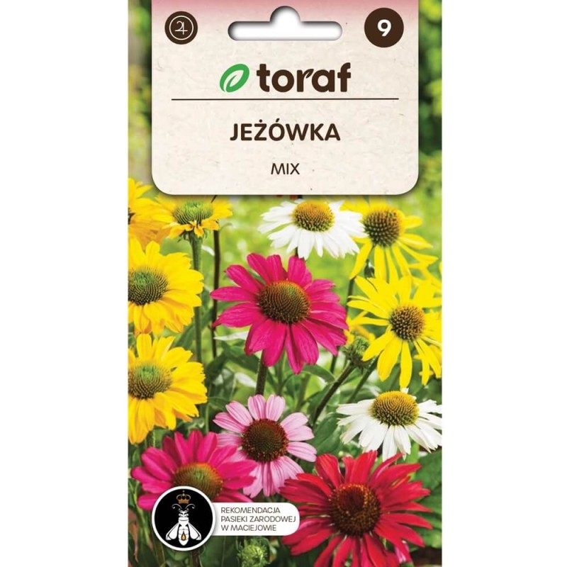 Jeżówka Mieszanka odmian ( Echinacea ) nasiona 1g (1).jpg