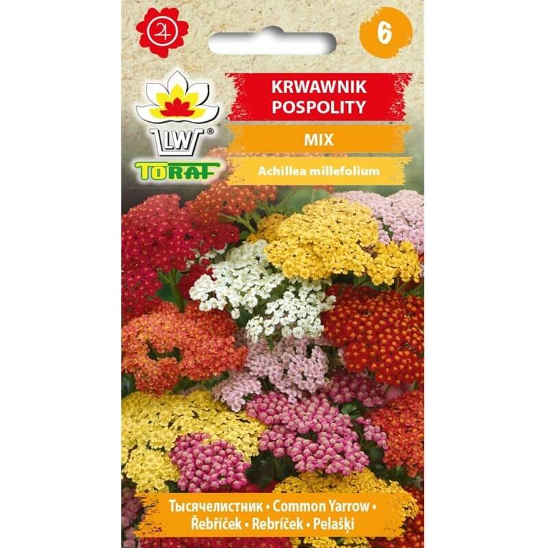 Krwawnik pospolity, mieszanka (Achillea millefolium) nasiona 0,2g (1).jpg