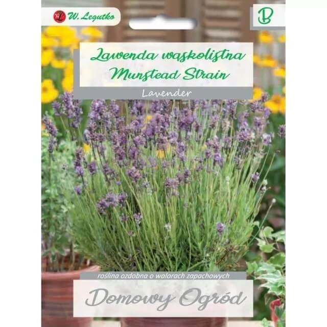 Lawenda wąskolistna MUNSTEAD (Lavandula angustifolia) 0,2g nasiona (1).jpg