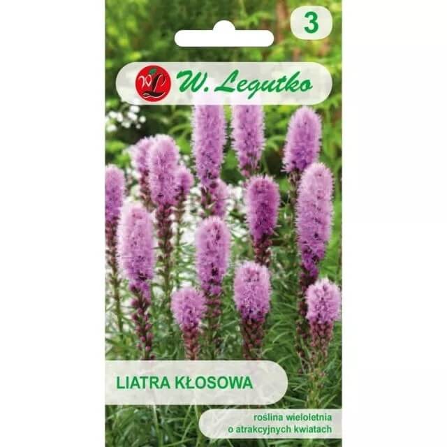 Liatra kłosowa, różowo-fioletowa (Liatris spicata) nasiona 0,2g (1).jpg