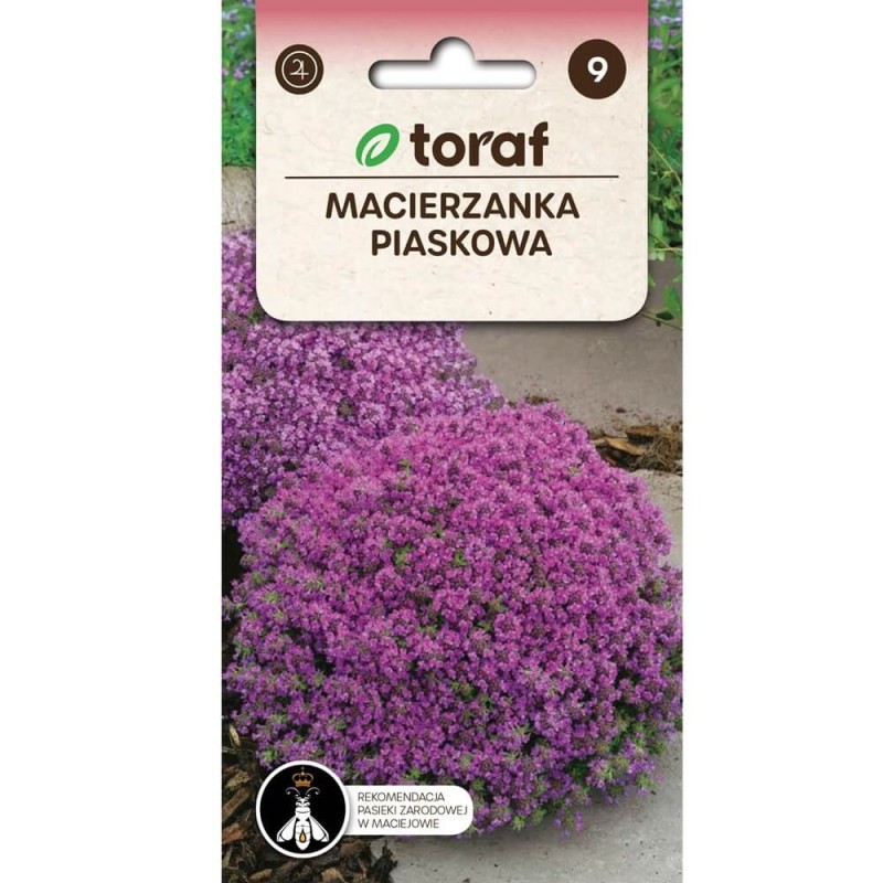 Macierzanka Piaskowa lilaróżowa nasiona 0,1g (1).jpg