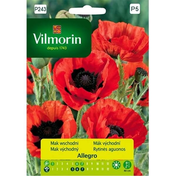Mak wschodni Allegro (Papaver orientale) nasiona 0,2g (2).jpg