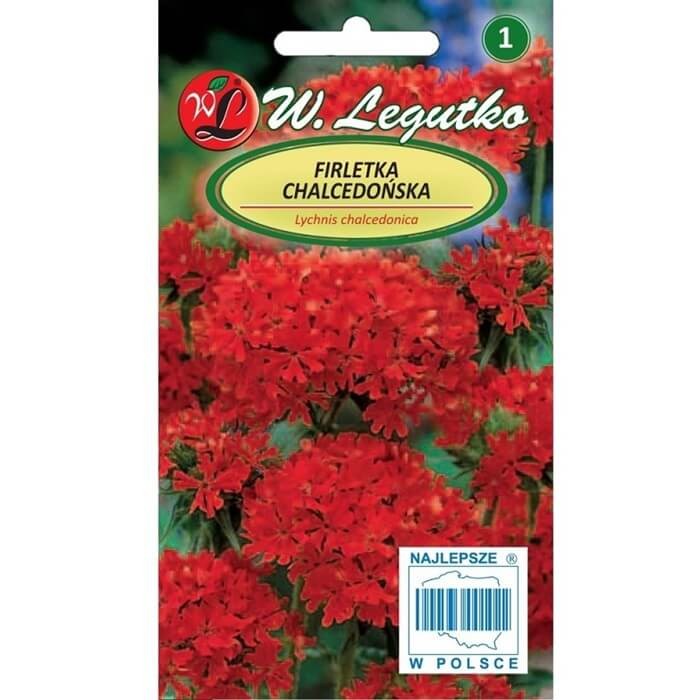 Firletka Chalcedońska Czerwona nasiona 0,5g (3).jpg