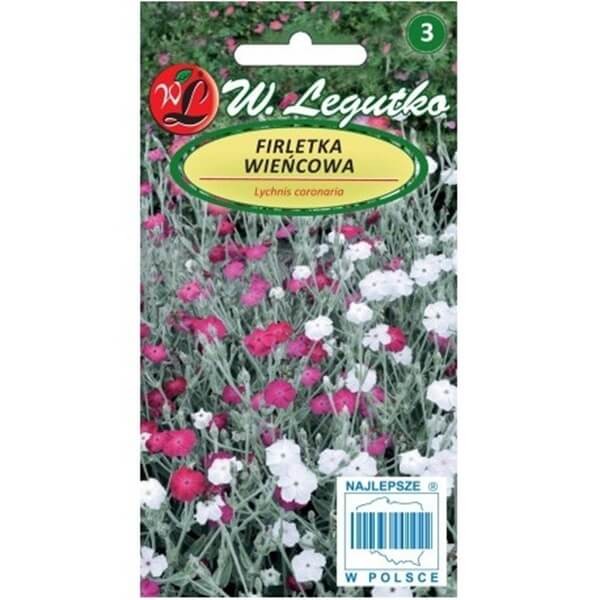 Firletka Wieńcowa mieszanka (Lychnis coronaria) nasiona 0,2g (3).jpg