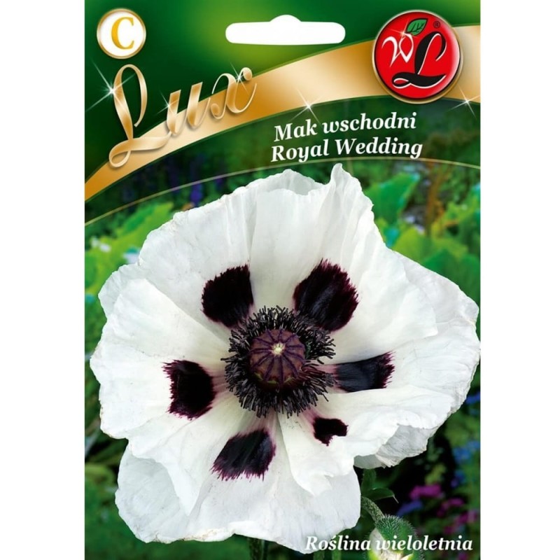 Mak wschodni biały ROYAL WEDDING 0,2g nasiona LUX  (1).jpg
