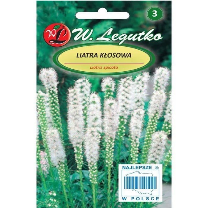 Liatra kłosowa, biała (Liatris spicata) nasiona 0,2g (3).jpg