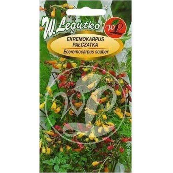 Pałczatka szorstka mieszanka  nasiona 0,05g (1).jpg