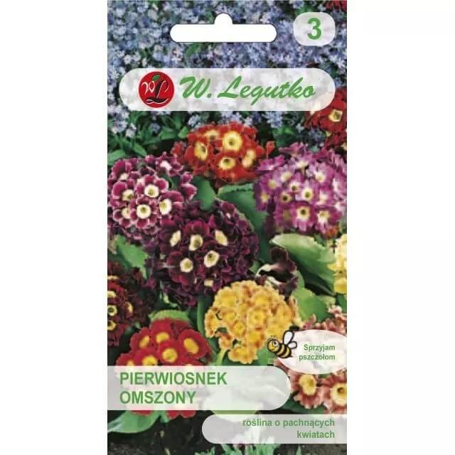 Pierwiosnek omszony, mieszanka nasiona 0,1g (1).jpg