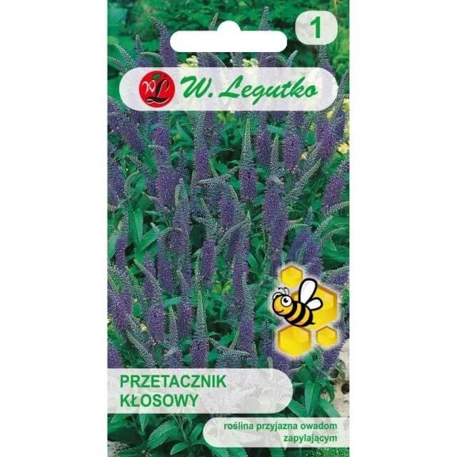 Przetacznik kłosowy, niebieski nasiona 0,1g (2).jpg