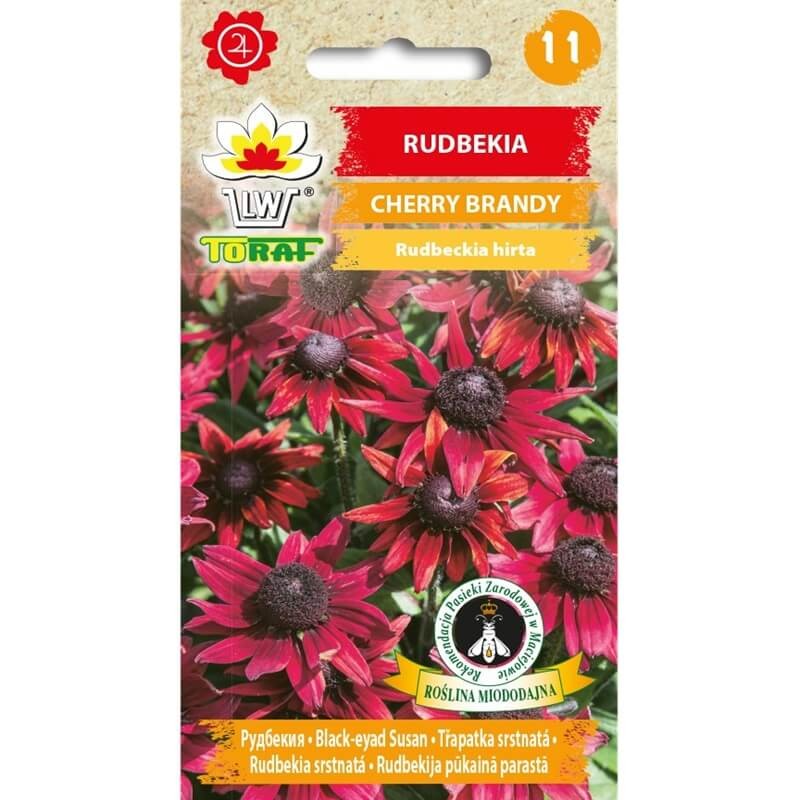 Rudbekia szorstka Cherry Brandy, czerwona  0,1g nasiona (2).jpg