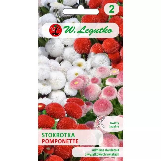 Stokrotka pospolita Pomponette mieszanka nasiona 0,1g (3).jpg