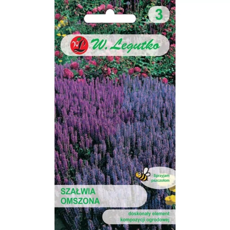 Szałwia omszona, fioletowoniebieska nasiona 0,1g  (1).jpg
