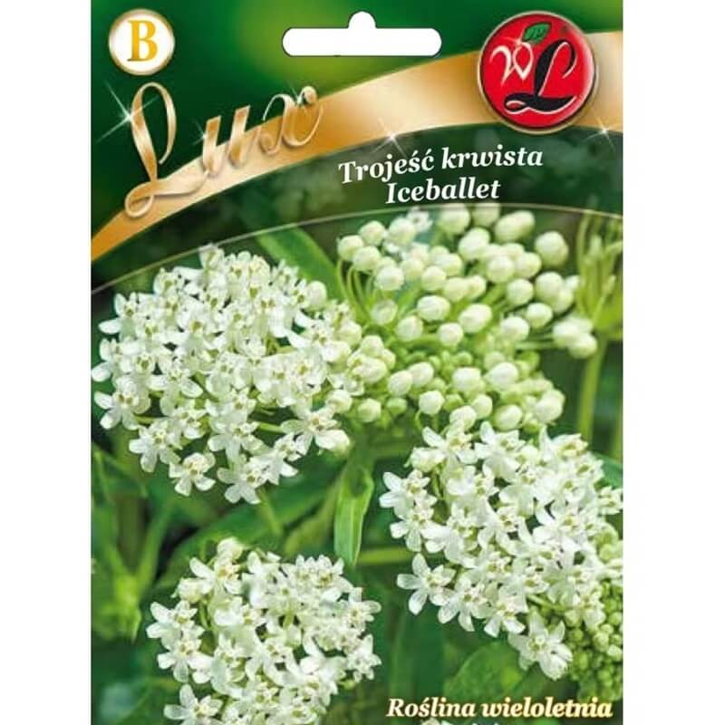 Trojeść krwista ICE BALLET 0,3g nasiona LUX (3).jpg