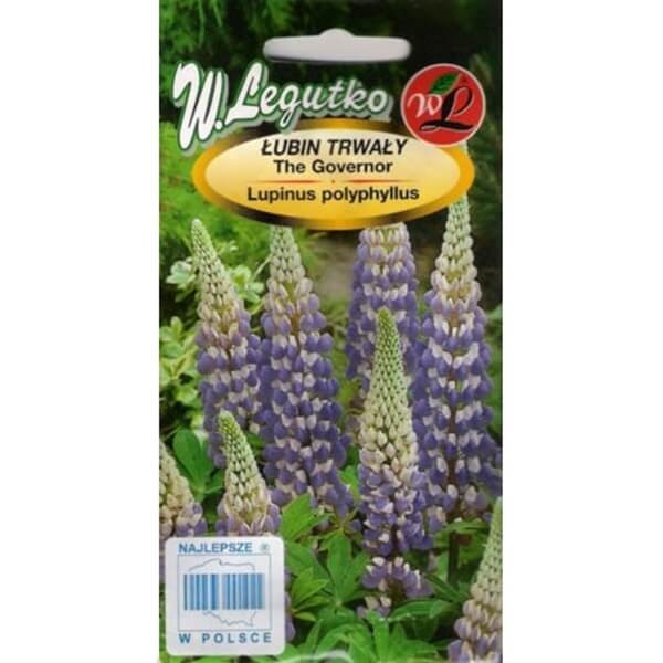 Łubin trwały Niebieski The Governor  nasiona 2g (2).jpg