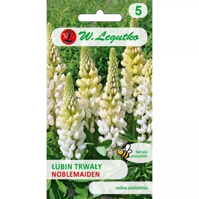 Łubin trwały Biały Noblemaiden nasiona 2g (2).jpg