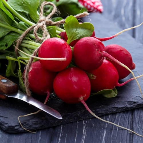 BIO Rzodkiewka SAXA 2 nasiona ekologiczne 5g