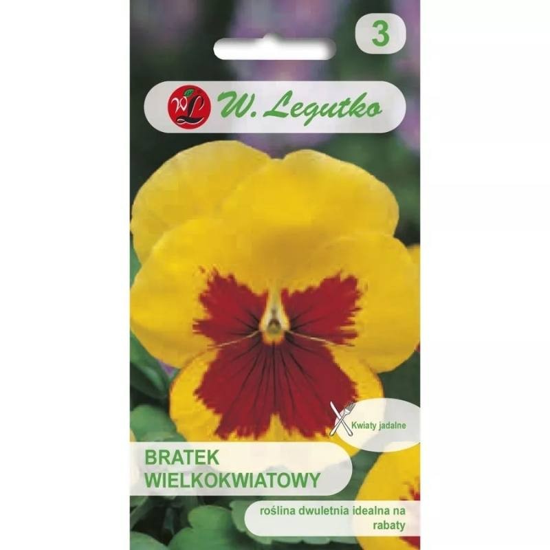 Bratek szwajcarski wielkokwiatowy żółty z ciemnym oczkiem nasiona 0,2g (2).jpg