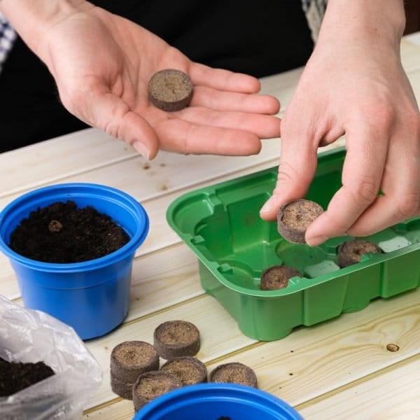 Krążki torfowe jak używać